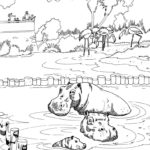 Raskrasil.com-Coloring-Pages-Hippo-59
