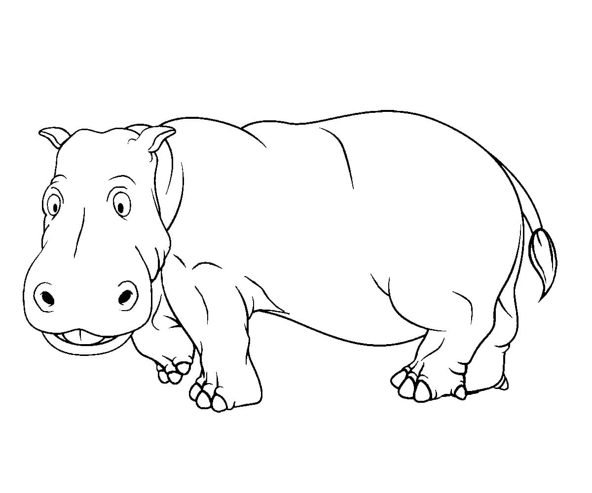 Raskrasil.com-Coloring-Pages-Hippo-60