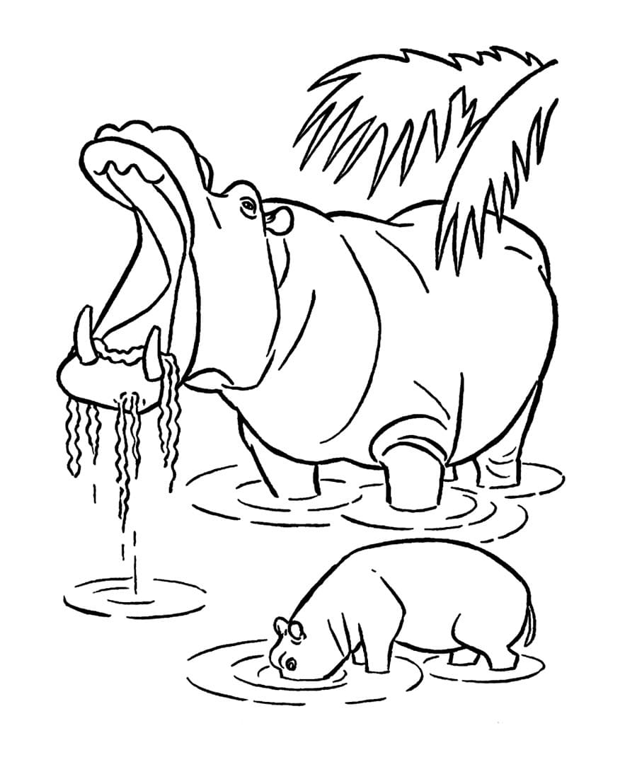 Raskrasil.com-Coloring-Pages-Hippo-65