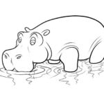 Raskrasil.com-Coloring-Pages-Hippo-66