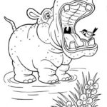 Raskrasil.com-Coloring-Pages-Hippo-83