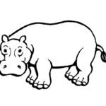 Previous Attachment