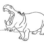 Raskrasil.com-Coloring-Pages-Hippo-88