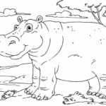 Raskrasil.com-Coloring-Pages-Hippo-89
