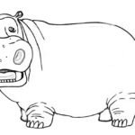 Raskrasil.com-Coloring-Pages-Hippo-94