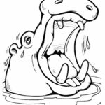 Raskrasil.com-Coloring-Pages-Hippo-99
