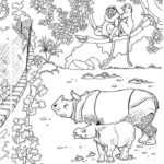 Raskrasil.com-Coloring-Pages-Jungle-Animals-103