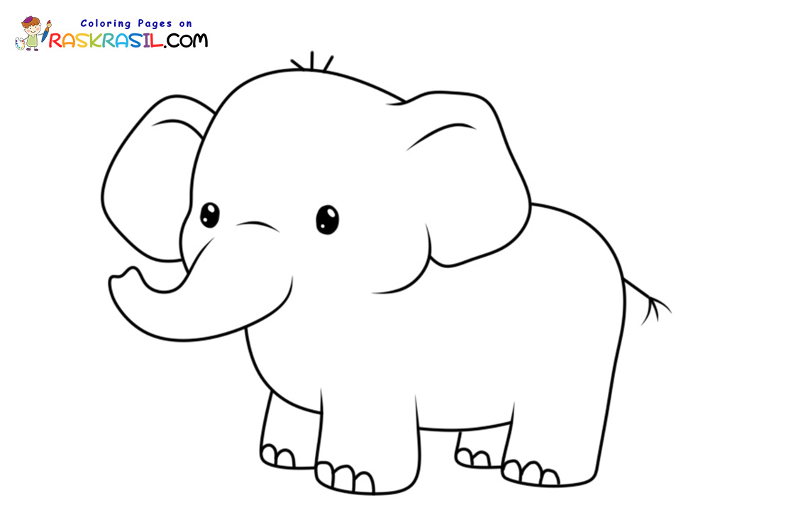 Raskrasil.com-Coloring-Pages-Jungle-Animals-Elephant