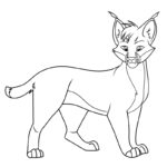 Raskrasil.com-Coloring-Pages-Jungle-Animals-Lynx