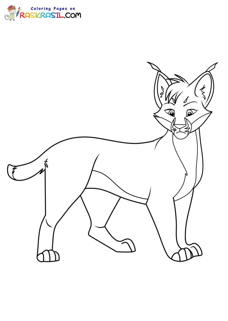 Raskrasil.com-Coloring-Pages-Jungle-Animals-Lynx