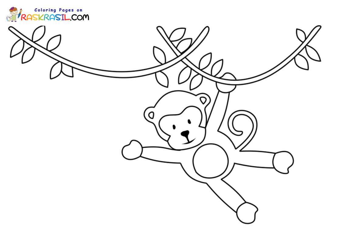 Raskrasil.com-Coloring-Pages-Jungle-Animals-Monkey-on-a-liana