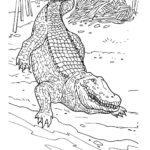 Previous Attachment