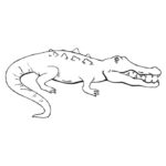 Raskrasil.com-Crocodile-Coloring-Pages-103