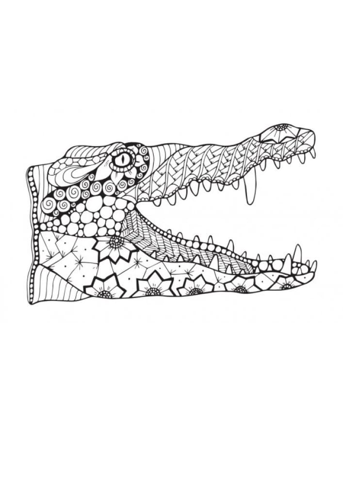Raskrasil.com-Crocodile-Coloring-Pages-22