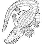 Raskrasil.com-Crocodile-Coloring-Pages-23