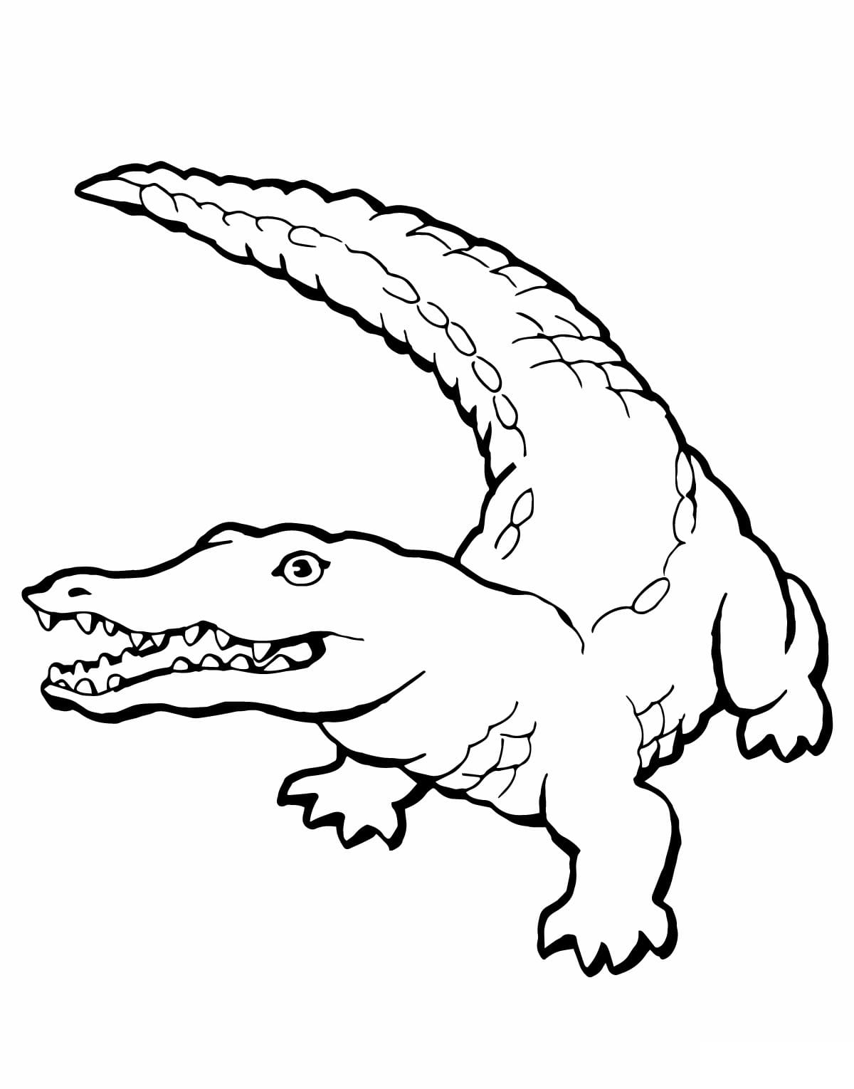 Raskrasil.com-Crocodile-Coloring-Pages-24