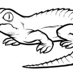 Raskrasil.com-Crocodile-Coloring-Pages-33