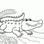 Raskrasil.com-Crocodile-Coloring-Pages-34