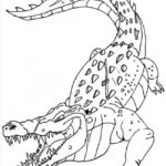 Raskrasil.com-Crocodile-Coloring-Pages-39