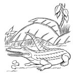 Raskrasil.com-Crocodile-Coloring-Pages-40