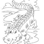 Raskrasil.com-Crocodile-Coloring-Pages-49