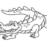 Raskrasil.com-Crocodile-Coloring-Pages-51
