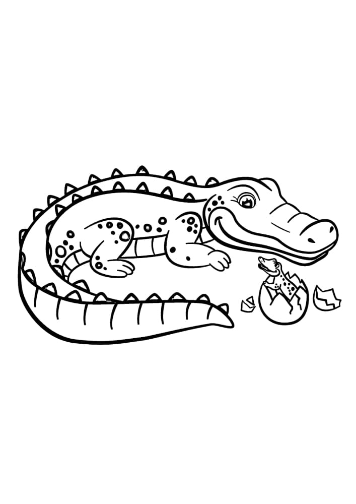 Raskrasil.com-Crocodile-Coloring-Pages-52