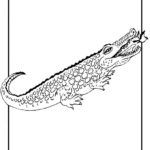 Raskrasil.com-Crocodile-Coloring-Pages-64