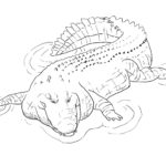 Raskrasil.com-Crocodile-Coloring-Pages-7