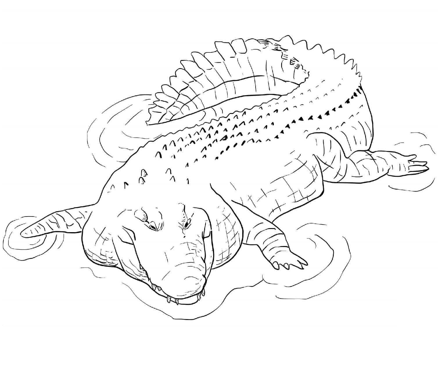 Raskrasil.com-Crocodile-Coloring-Pages-7