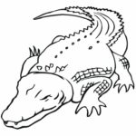 Raskrasil.com-Crocodile-Coloring-Pages-89