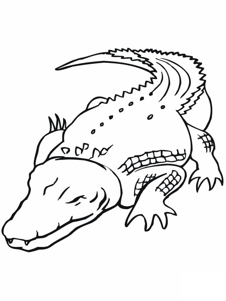 Raskrasil.com-Crocodile-Coloring-Pages-89