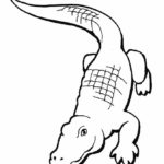 Raskrasil.com-Crocodile-Coloring-Pages-92