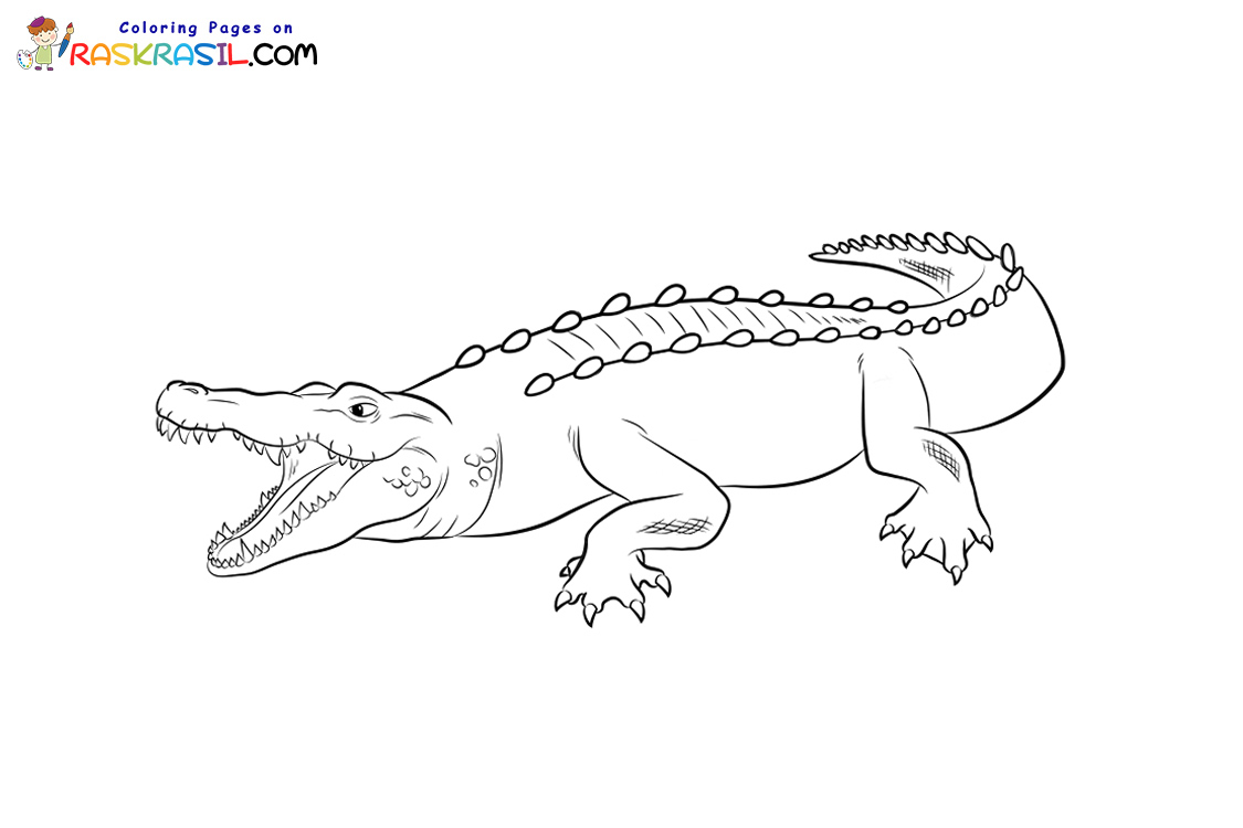 Raskrasil.com-Crocodile-New-Coloring-Pages-10