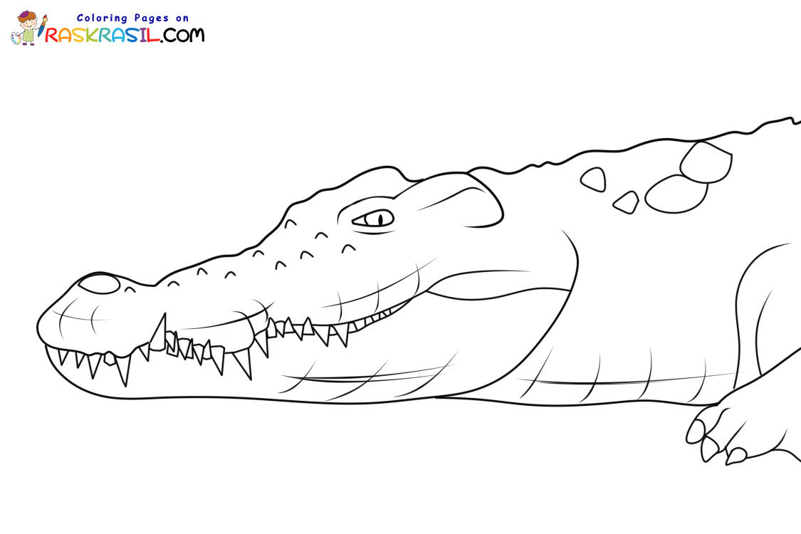Raskrasil.com-Crocodile-New-Coloring-Pages-7