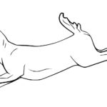 Raskrasil.com-Deer-Colorıng-Pages-102
