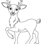 Raskrasil.com-Deer-Colorıng-Pages-104