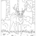 Previous Attachment