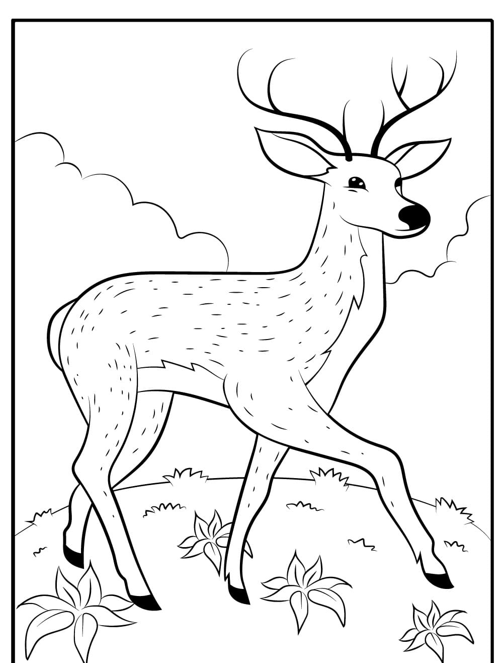 Raskrasil.com-Deer-Colorıng-Pages-12
