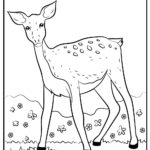 Raskrasil.com-Deer-Colorıng-Pages-13