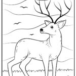 Raskrasil.com-Deer-Colorıng-Pages-14