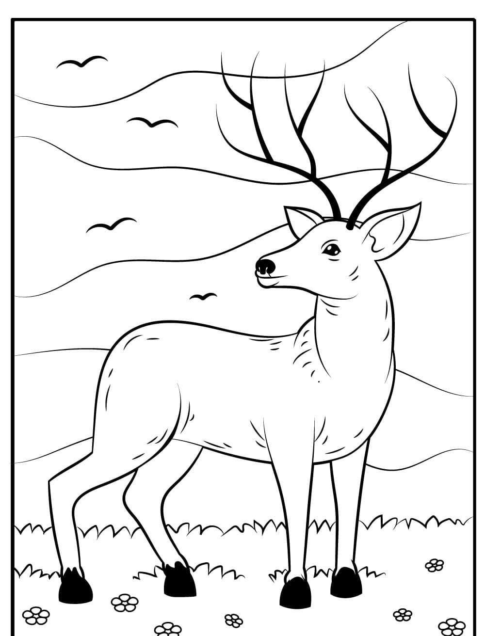 Raskrasil.com-Deer-Colorıng-Pages-14