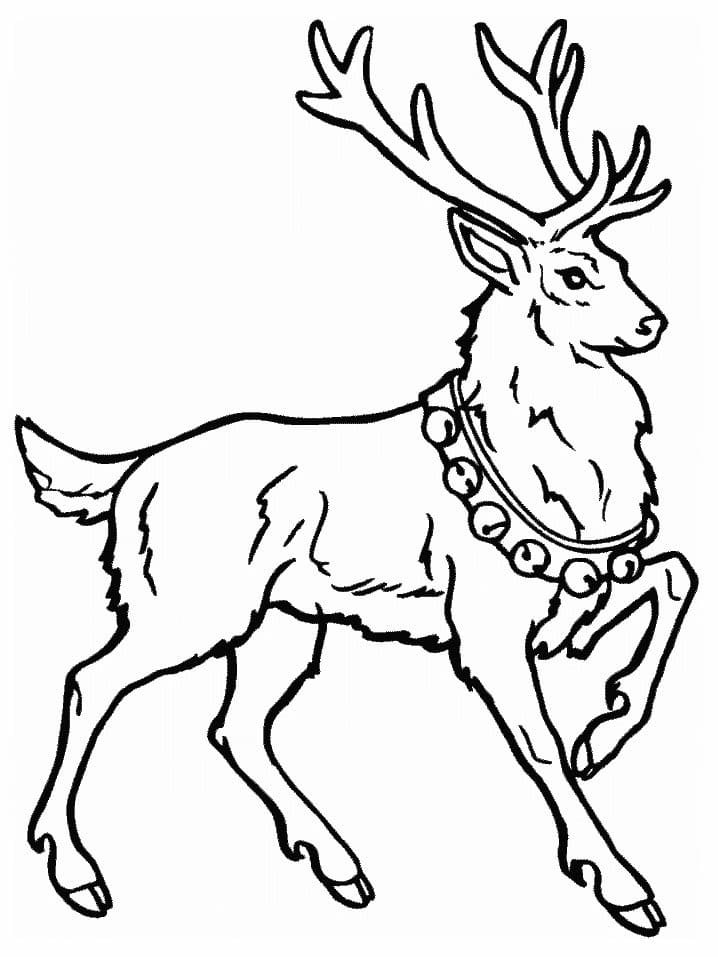 Raskrasil.com-Deer-Colorıng-Pages-15