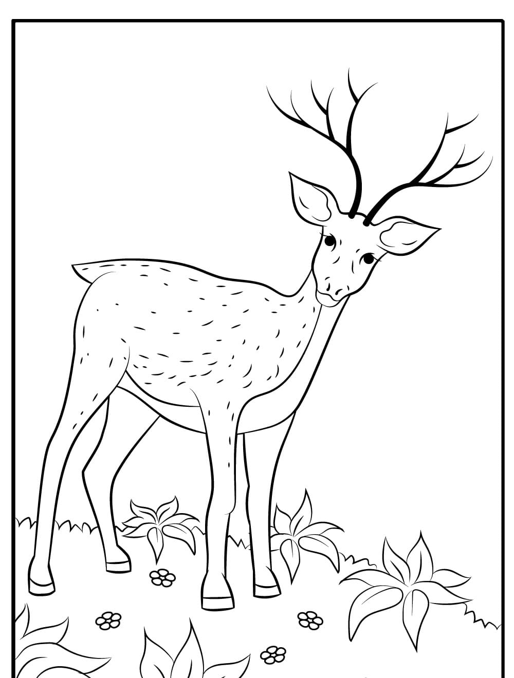 Raskrasil.com-Deer-Colorıng-Pages-17