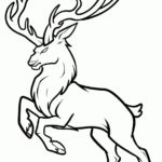 Raskrasil.com-Deer-Colorıng-Pages-25
