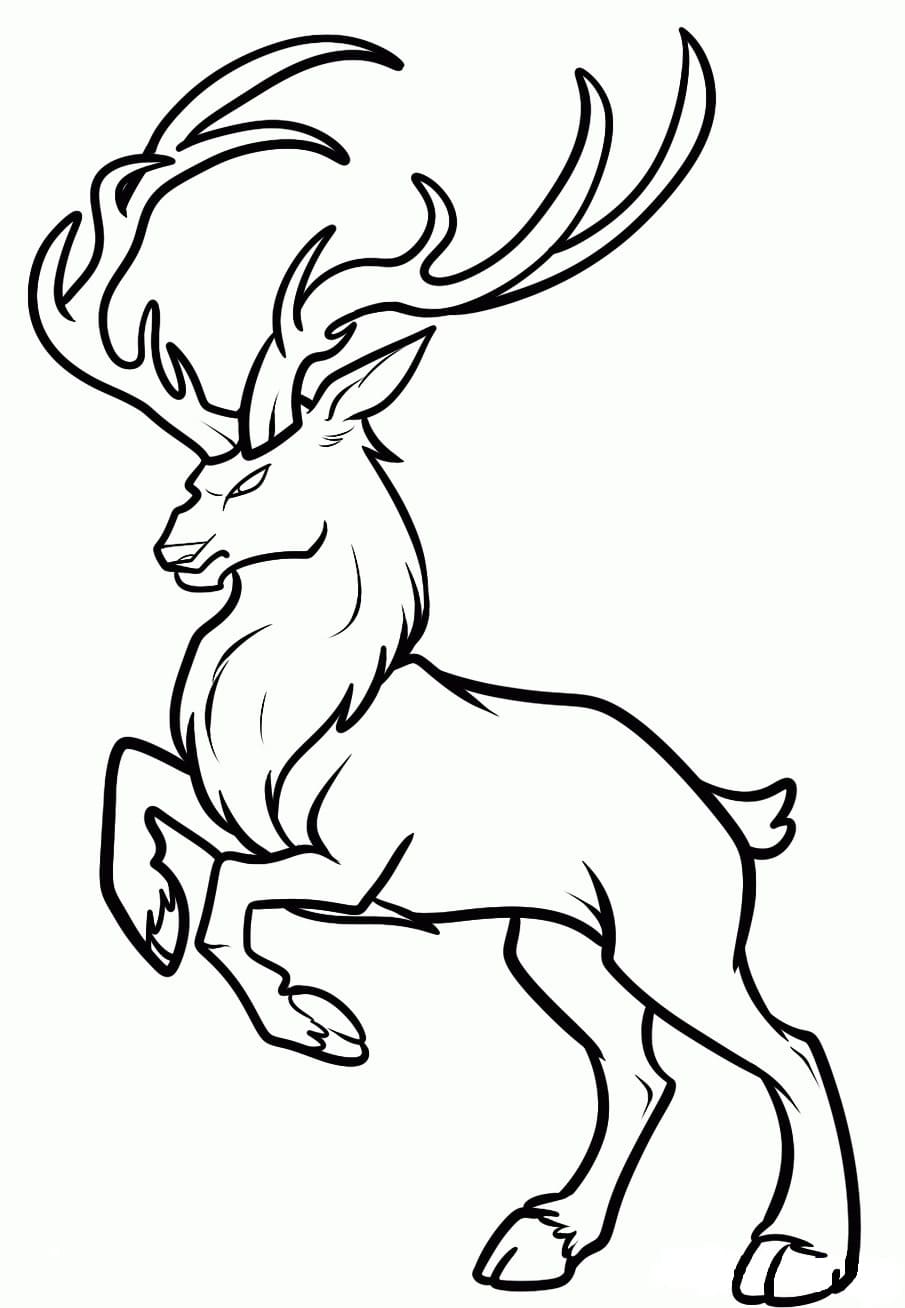 Raskrasil.com-Deer-Colorıng-Pages-25