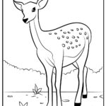 Raskrasil.com-Deer-Colorıng-Pages-26