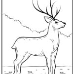 Raskrasil.com-Deer-Colorıng-Pages-27