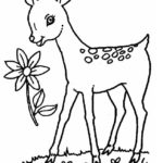 Raskrasil.com-Deer-Colorıng-Pages-38