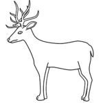 Raskrasil.com-Deer-Colorıng-Pages-41